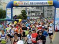정남진 전국 마라톤 대회