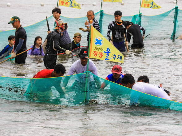 제17회 정남진 장흥 물축제 황금물고기를잡아라