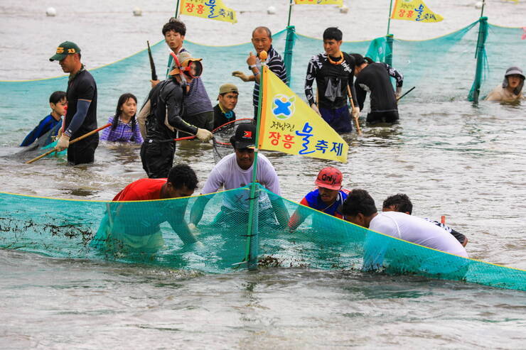 제17회 정남진 장흥 물축제 황금물고기를잡아라