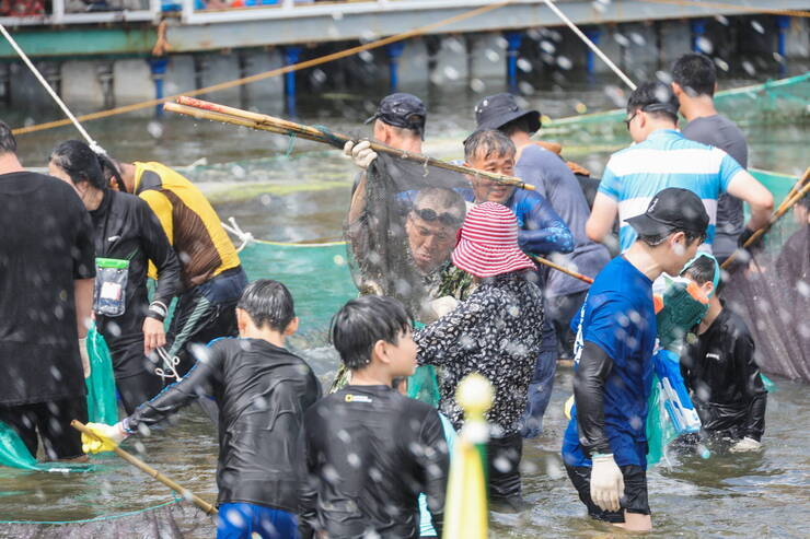 제17회 정남진 장흥 물축제 황금물고기를잡아라