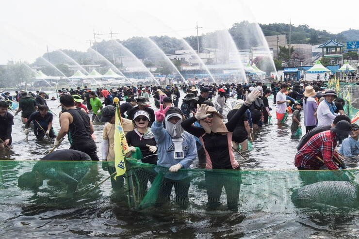 제17회 정남진 장흥 물축제 황금물고기를잡아라