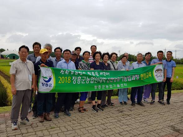 충남농업기술원 수도작포장