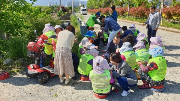 장흥읍 번영회(회장 백형칠)는 어버이날을 맞아 장흥읍 노인일자리 어르신들을 대상으로 카네이션을 전달했다고 밝혔다.   